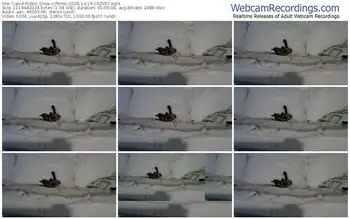 cam4-permi-10-19-2024-19-25-07