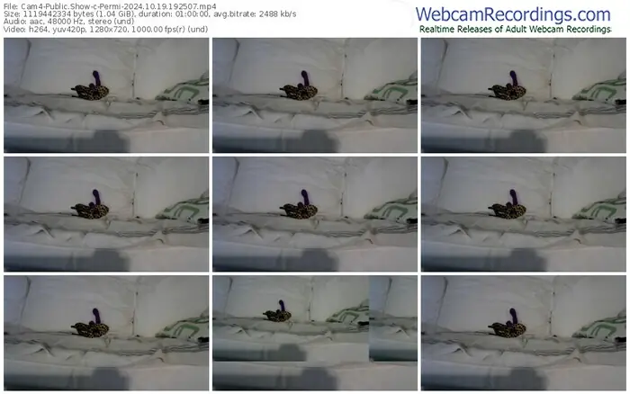 cam4-permi-10-19-2024-19-25-07