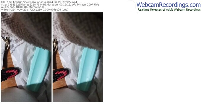 cam4-gatinhazss-10-19-2024-10-53-25
