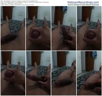 cam4-paivaigr_-10-19-2024-14-29-36