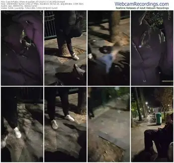 cam4-pollen_07-10-19-2024-18-51-04