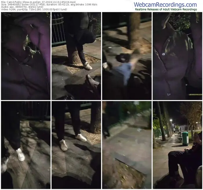 cam4-pollen_07-10-19-2024-18-51-04