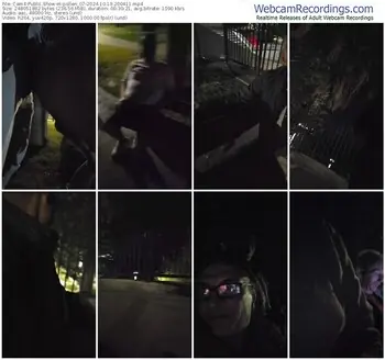 cam4-pollen_07-10-19-2024-20-04-11