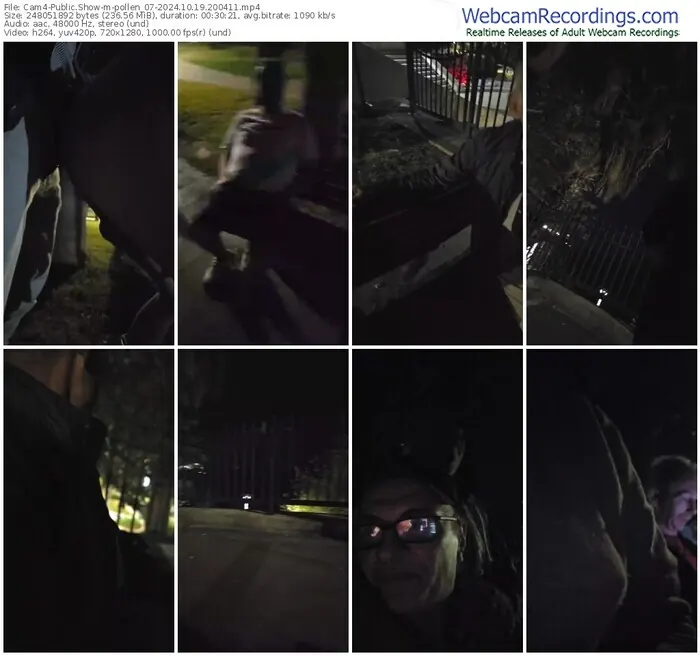 cam4-pollen_07-10-19-2024-20-04-11