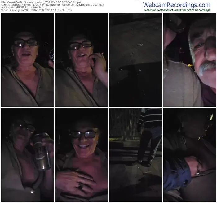 cam4-pollen_07-10-19-2024-20-54-58