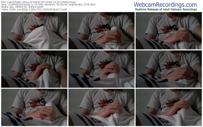 cam4-pollon797-10-20-2024-14-54-52