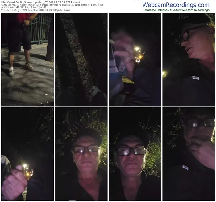 cam4-pollen_07-10-20-2024-19-52-49