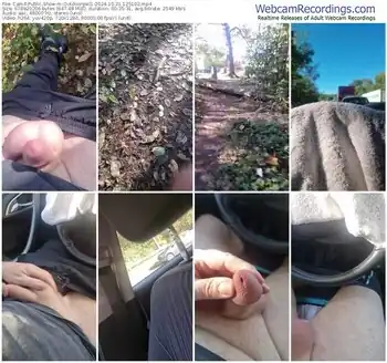 cam4-outdoorgeil1-10-21-2024-12-51-02