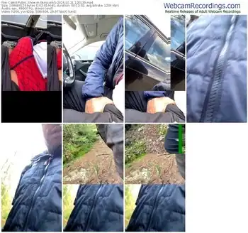 cam4-likescock5-10-21-2024-12-01-39