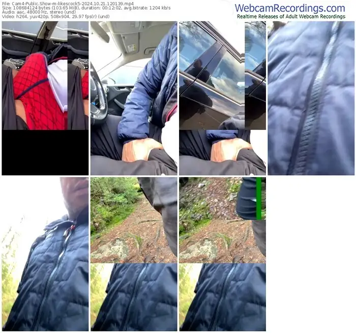 cam4-likescock5-10-21-2024-12-01-39