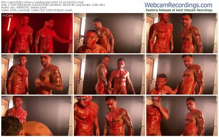cam4-camboystoy-10-22-2024-02-03-12