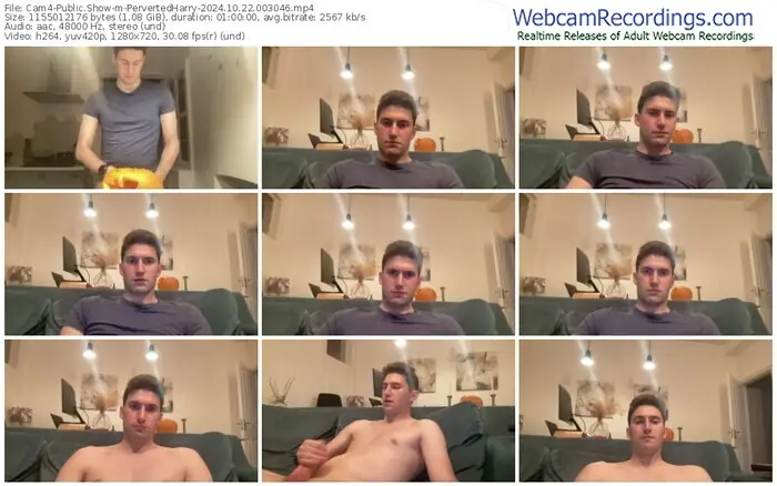 cam4-pervertedharry-10-22-2024-00-30-46