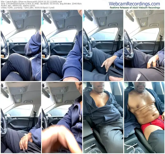 cam4-likescock5-10-22-2024-11-29-05