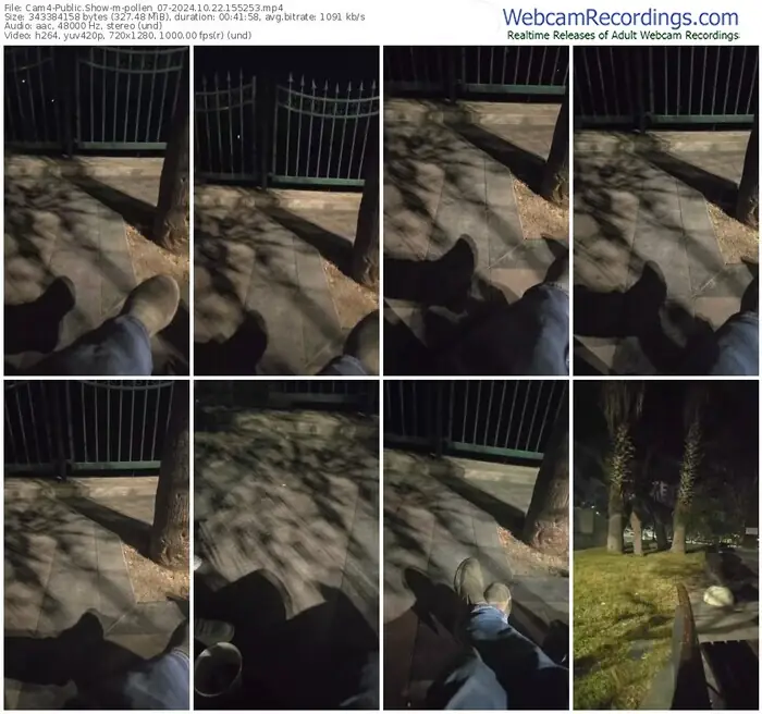 cam4-pollen_07-10-22-2024-15-52-53