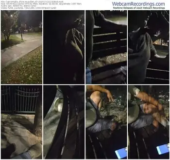 cam4-pollen_07-10-22-2024-16-36-04