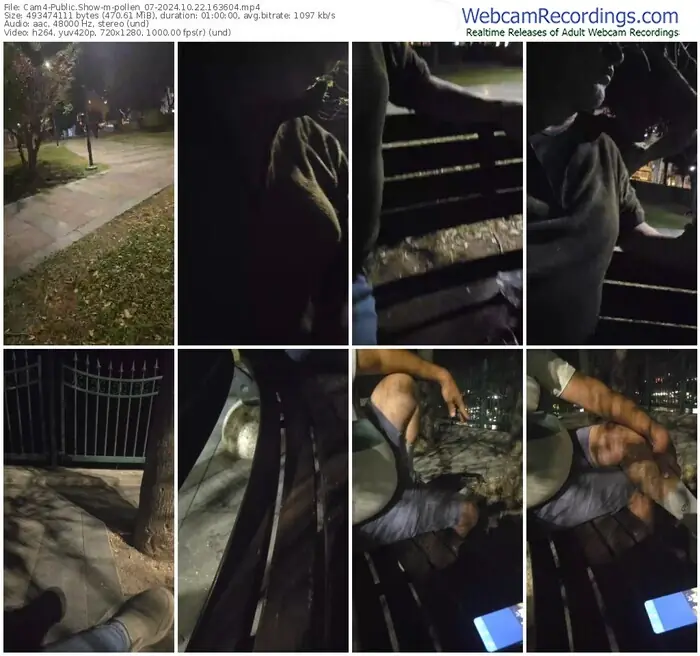 cam4-pollen_07-10-22-2024-16-36-04
