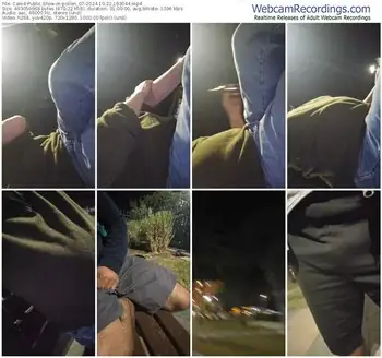 cam4-pollen_07-10-22-2024-18-30-44