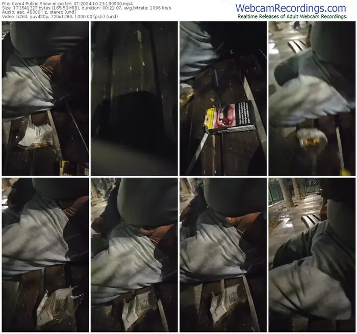 cam4-pollen_07-10-23-2024-18-09-00