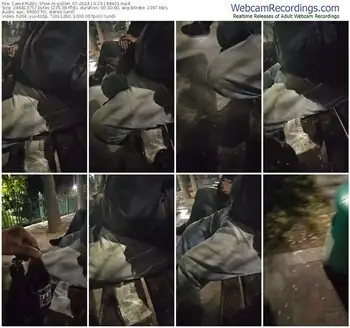 cam4-pollen_07-10-23-2024-18-44-01