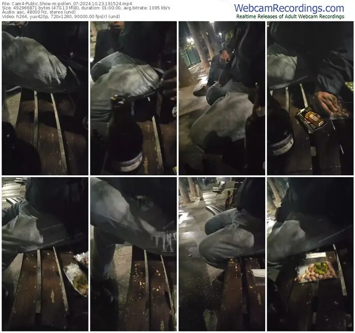 cam4-pollen_07-10-23-2024-19-15-24