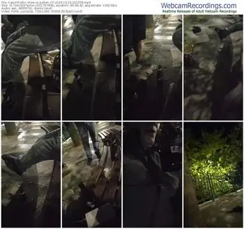 cam4-pollen_07-10-23-2024-20-15-58