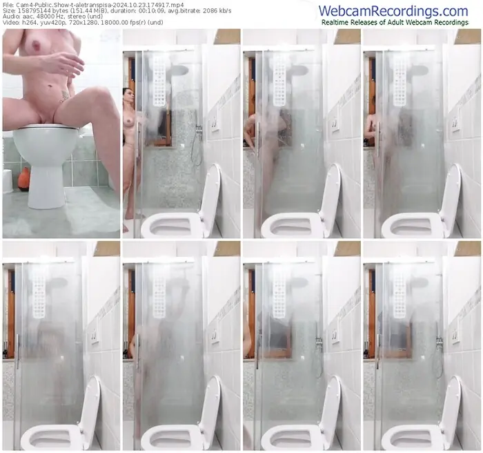 cam4-aletranspisa-10-23-2024-17-49-17