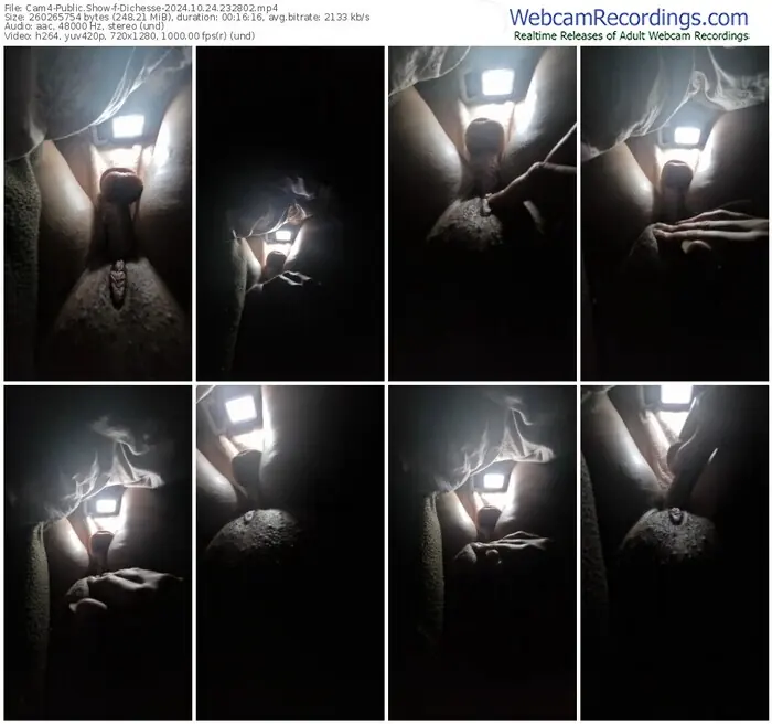 cam4-dichesse-10-24-2024-23-28-02