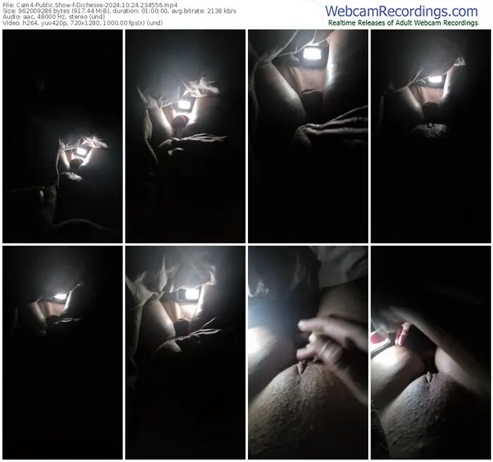 cam4-dichesse-10-24-2024-23-45-56