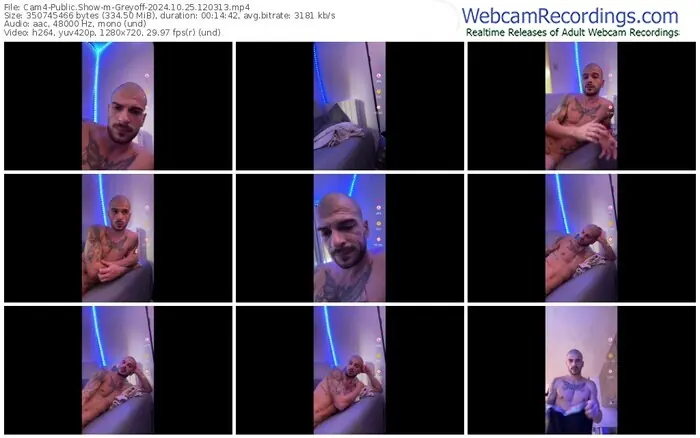 cam4-greyoff-10-25-2024-12-03-13