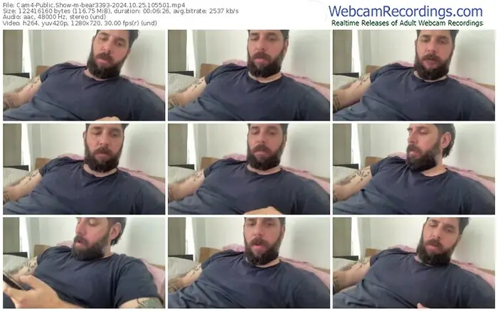 cam4-bear3393-10-25-2024-10-55-01