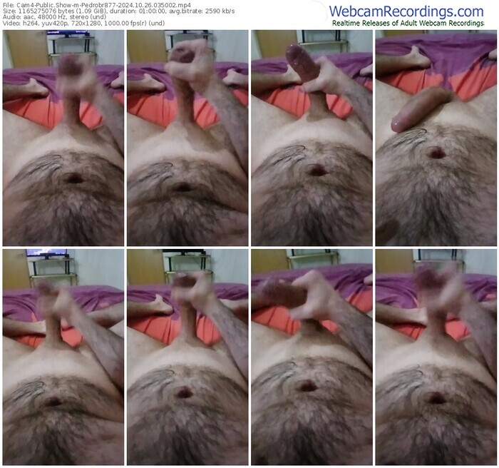 cam4-pedrobr877-10-26-2024-03-50-02