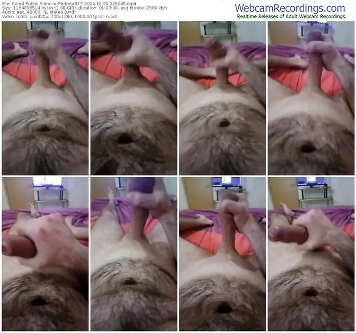 cam4-pedrobr877-10-26-2024-04-50-45