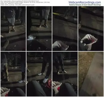 cam4-pollen_07-10-26-2024-19-01-27