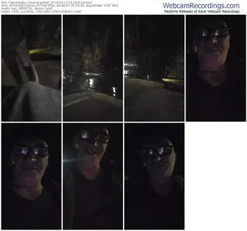 cam4-pollen_07-10-26-2024-20-25-16