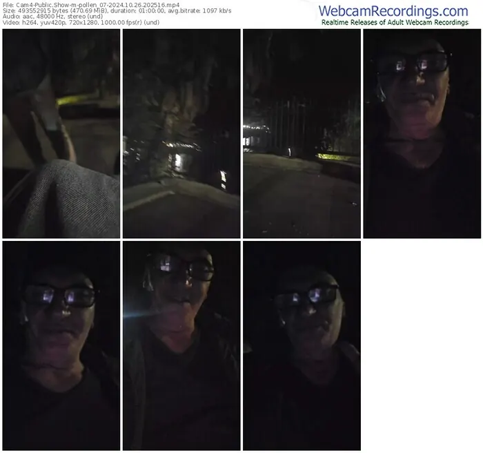 cam4-pollen_07-10-26-2024-20-25-16