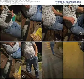 cam4-pollen_07-10-26-2024-23-03-40