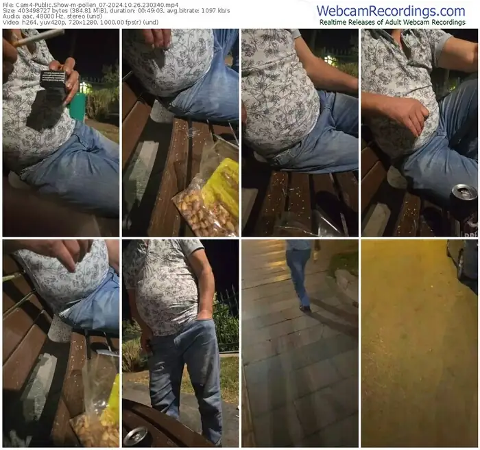 cam4-pollen_07-10-26-2024-23-03-40