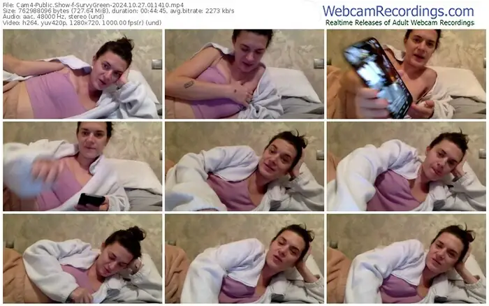 cam4-survygreen-10-27-2024-01-14-10