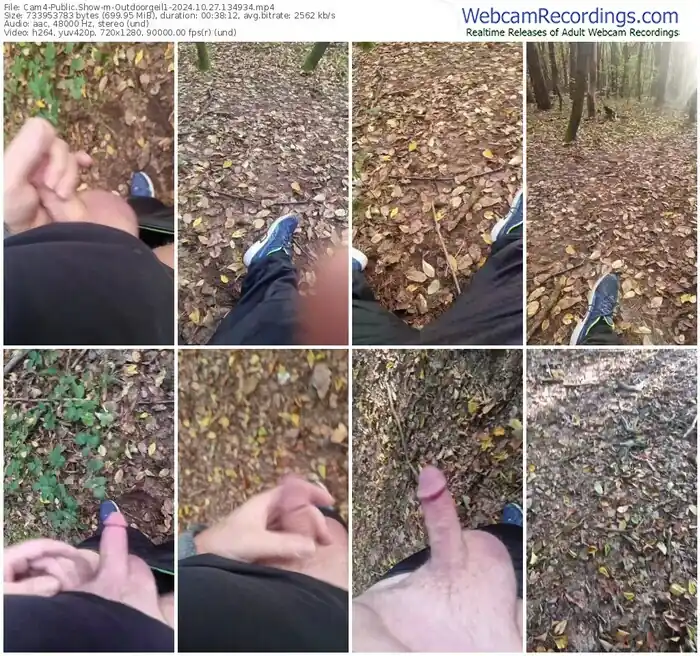 cam4-outdoorgeil1-10-27-2024-13-49-34