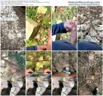 cam4-zorro2024-10-27-2024-09-22-49