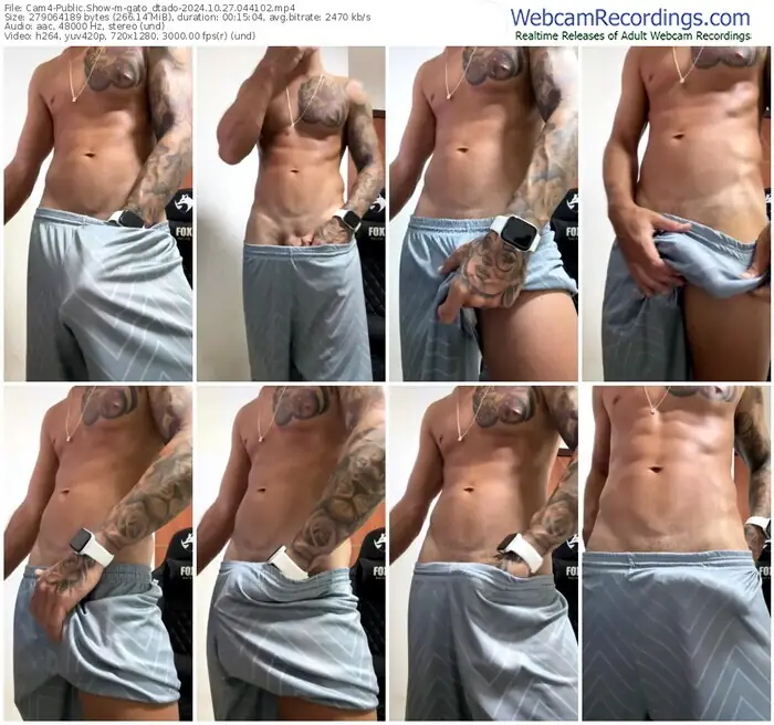 cam4-gato_dtado-10-27-2024-04-41-02