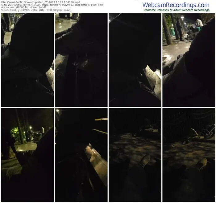 cam4-pollen_07-10-27-2024-16-40-50
