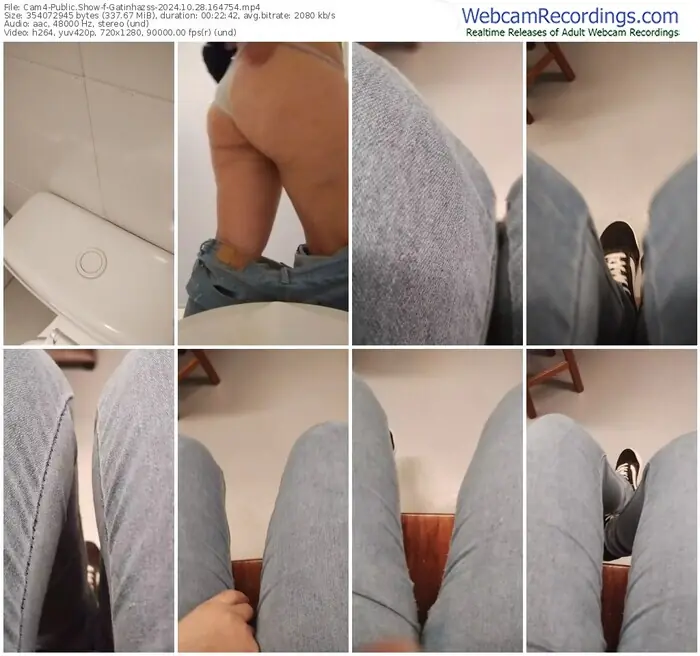 cam4-gatinhazss-10-28-2024-16-47-54