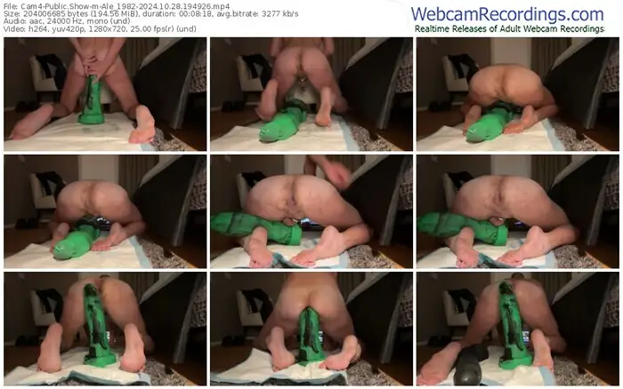 cam4-ale_1982-10-28-2024-19-49-26