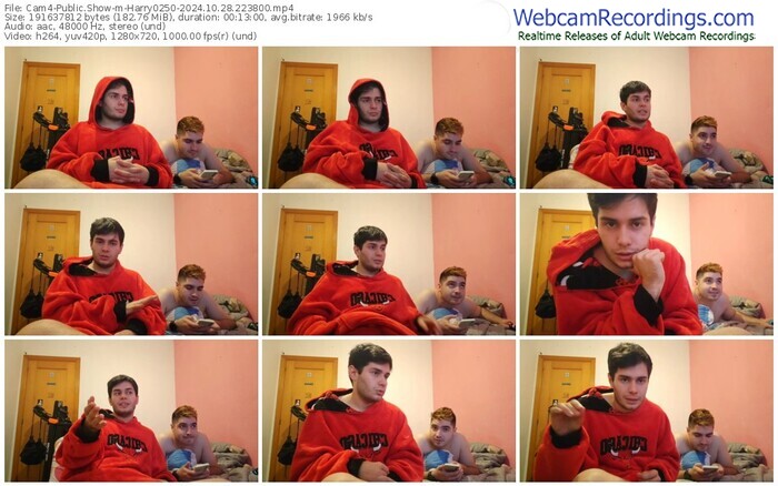 cam4-harry0250-10-28-2024-22-38-00