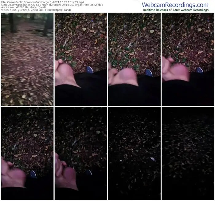 cam4-outdoorgeil1-10-28-2024-16-14-03