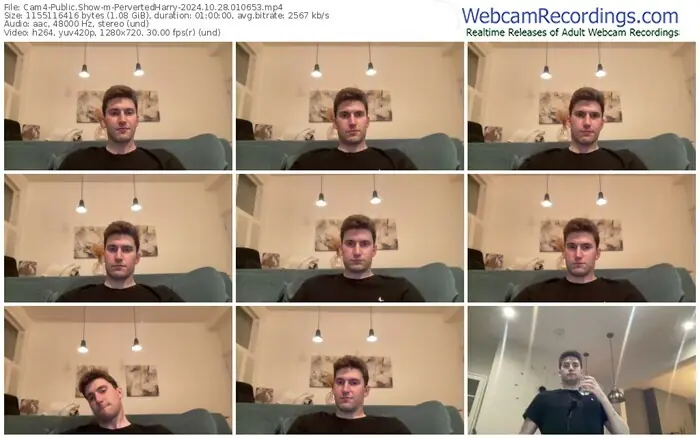 cam4-pervertedharry-10-28-2024-01-06-53