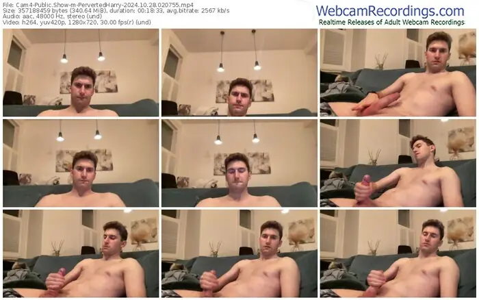 cam4-pervertedharry-10-28-2024-02-07-55