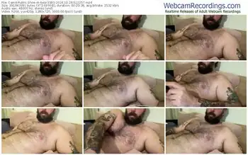 cam4-bear3393-10-28-2024-02-22-57