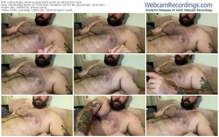 cam4-bear3393-10-28-2024-02-22-57